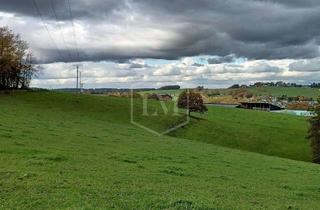 Immobilie kaufen in 53819 Neunkirchen-Seelscheid, Grünland in Neunkirchen-Seelscheid