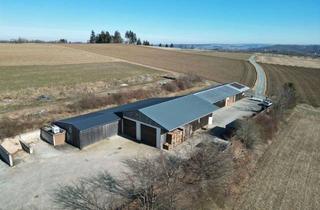 Lager kaufen in 95138 Bad Steben, große landwirtschaftliche Gerätehalle und Acker