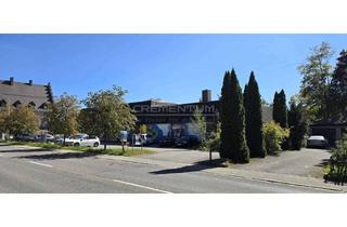 Immobilie mieten in Schwarzwaldstraße 47, 78194 Immendingen, Gewerbliches Bestandsobjekt in zentraler Lage