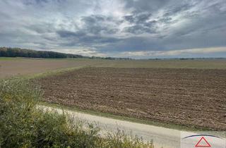 Gewerbeimmobilie kaufen in 86498 Kettershausen, Ackerfläche mit ca. 1,36 Hektar!