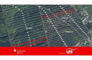 Gewerbeimmobilie kaufen in 16230 Chorin, Forstflächen im Biosphärenreservat