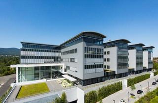 Gewerbeimmobilie mieten in 65824 Schwalbach, KLE!N - Provisionsfrei - Moderne Büroetage mit Blick