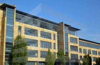 Gewerbeimmobilie mieten in 64546 Mörfelden-Walldorf, KLE!N - Provisionsfrei - Büroflächen in modernem Gewerbepark