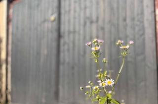 Garagen mieten in Am Hohen Hain 25d, 09212 Limbach-Oberfrohna, Leerstehende Garage in ruhiger Lage von Limbach-Oberfrohna