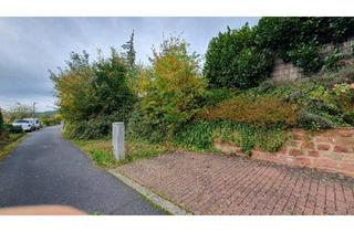 Haus kaufen in 63874 Dammbach, Dammbach - Ferienhaus Jochenhöhe