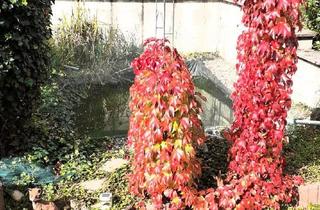 Einfamilienhaus kaufen in 75050 Gemmingen, Gemmingen - Einfamilienhaus