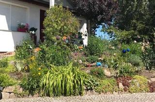 Einfamilienhaus kaufen in 13053 Berlin, Berlin - Einfamilienhaus