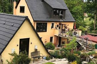 Einfamilienhaus kaufen in 90547 Stein, Stein - OT Stein Einfamilienhaus mit Einliegerwohnung 1200qm