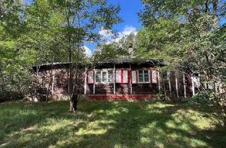 Einfamilienhaus kaufen in 01458 Ottendorf-Okrilla, Ottendorf-Okrilla - Idyllisches Wald-, Wiesen- und Wohngrundstück in Medingen bei Dresden