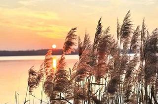 Wohnung mieten in Zöbigker Straße 124, 04416 Markkleeberg, * Markkleeberg * NEUBAU * Wärmepumpe A+ * Terrasse * SEE um die ECKE * Stellplatz *