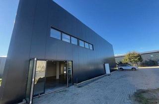 Geschäftslokal mieten in 25494 Borstel-Hohenraden, vielseitig nutzbares Gewerbeobjekt (konzepiertes Autohaus)