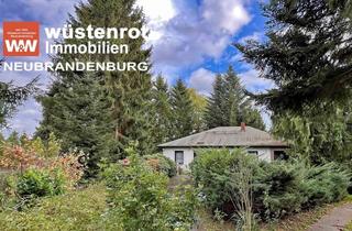 Haus kaufen in 17159 Dargun, TRAUMHAFT UND FAST ALLEIN IM GRÜNEN: WOHNEN AUF EINER EBENE MIT VOLLKELLER UND GROSSEM GRUNDSTÜCK