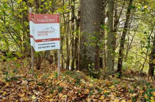 Grundstück zu kaufen in An Der Furth, 51580 Reichshof, ca. 1.645m² Hanggrundstück in Reichshof zu verkaufen