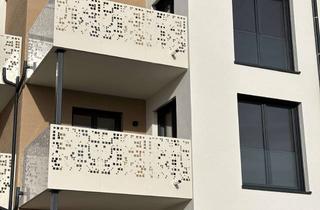 Penthouse mieten in Nelkenweg, 75248 Ölbronn-Dürrn, Neubau 2-Zimmer Penthouse-Wohnung mit Balkon in Ölbronn-Dürrn