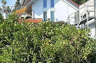 Wohnung mieten in Kreuzgasse 31/1, 88677 Markdorf, 2-Zimmer-Wohnung mit EBK in Markdorf