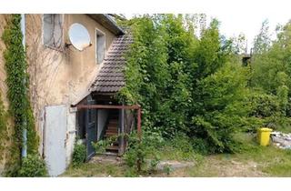 Mehrfamilienhaus kaufen in 39291 Möckern, Möckern - sanierungsbedürftiges Mehrfamilienhaus