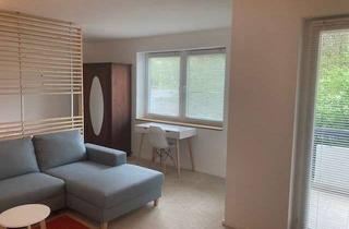 Wohnung mieten in 89518 Heidenheim, Möblierte 1-Zimmer-EG-Wohnung mit Küche, Bad und Balkon in Heidenheim