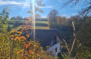 Haus kaufen in 94474 Vilshofen, Bezahlbarer Wohn(t)raum in ruhiger, sonniger Lage! Auch für Kapitalanleger oder als Ferienimmobilie!