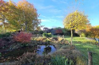 Haus kaufen in Hohenlockster Str. 23, 25551 Lohbarbek, Traumgrundstück mit Bungalow zu verkaufen