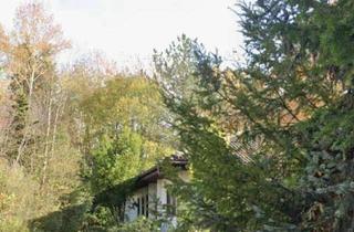 Einfamilienhaus kaufen in Herzog-Wellfstraße 94, 85604 Zorneding, Einfamilienhaus in ruhiger Lage – ideal für Familien, Pendler und Ruhesuchende