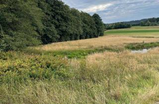 Grundstück zu kaufen in St 2880, 95163 Weißenstadt, Wiese an der Staatsstraße 2880