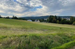 Grundstück zu kaufen in 95163 Weißenstadt, Wiese an der Bergstraße