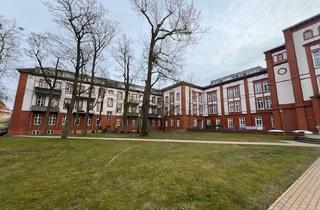 Wohnung kaufen in Lobedanzgang 13, 19053 Altstadt, Freundliche 2-Zimmer-Erdgeschosswohnung über 2 Etagen mit Terrasse in Schwerin