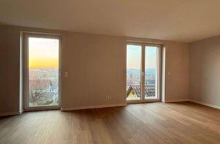 Wohnung mieten in 74930 Ittlingen, Kernsanierte 3-Zimmer Wohnung mit Ebk + Balkon