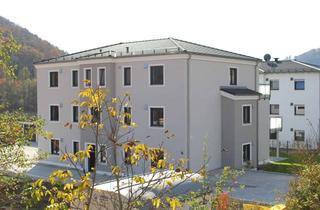Wohnung mieten in Austr. 66, 93339 Riedenburg, Schöne 2-Zimmer-Wohnung mit Dachterrasse in Riedenburg
