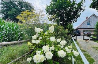 Haus kaufen in 49849 Wilsum, Hochwertige Alleinlage im Grünen. Platz für Ihre Ideen - von Familienidyll bis Pferdehof mit Weide