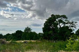 Grundstück zu kaufen in 06217 Merseburg, Neu in Merseburg - ruhiges Baugrundstück für Ihr regional geplantes Traumhaus