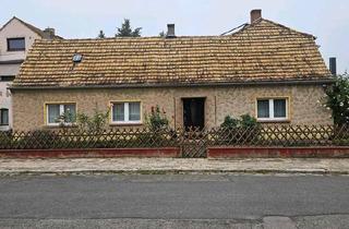 Einfamilienhaus kaufen in 04849 Bad Düben, Bad Düben - Kleines Einfamilienhaus zu verkaufen