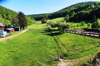 Wohnung kaufen in 63897 Miltenberg, Miltenberg - Wohnung zu verkaufen