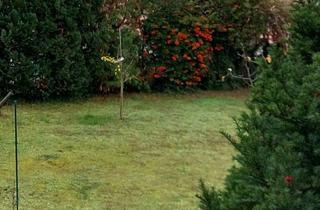 Wohnung mieten in 68307 Schönau, Erstbezug nach Sanierung: helle 3- Zi. Wohnung mit Balkon und Garten in Mannheim-Blumenau