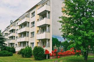 Wohnung mieten in Dr.-Wilhelm-Külz-Straße 28, 17291 Prenzlau, 1-Raum-Wohnung mitten im Zentrum