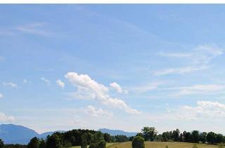 Wohnung mieten in 82393 Iffeldorf, 65 m² Bergblick mit Garten für Dame die 20 Stunden im Monat mithilft