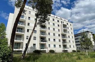 Wohnung mieten in Robert-Bosch-Straße 28, 64293 Darmstadt, Philox on Top: Maisonette - 2 Räume - Küche - Dachterrasse