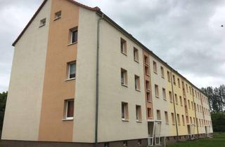 Wohnung mieten in Chausseestraße 1C 1 c, 17498 Levenhagen, 2,0 Raum Wohnung vier Kilometer von Greifswald entfernt