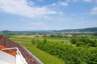 Wohnung mieten in 63589 Linsengericht, Helle Dachgeschosswohnung mit großem Studio, Dachterrasse und hervorragender Aussicht