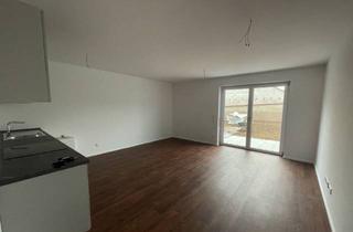 Wohnung mieten in 63906 Erlenbach, 2-Zimmer EG Wohnung