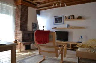 Wohnung mieten in 65835 Liederbach, möbliertes Apartment mit offenem Kamin von Privat in kleiner Wohneinheit
