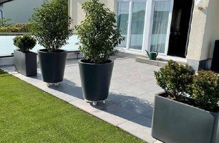 Wohnung mieten in Philipp-Gehling-Str., 56410 Montabaur, Singlewohnung mit großer Luxusterrasse und Schloßblick in Toplage