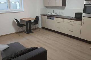 Wohnung mieten in 93142 Maxhütte-Haidhof, Schicke möblierte 2-Zimmer Wohnung mit EBK in Maxhütte-Haidhof