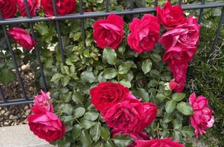 Doppelhaushälfte kaufen in 85757 Karlsfeld, Exklusive Doppelhaushälfte (Bj.2023) mit Einliegerwohnung