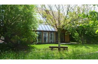 Haus mieten in Hauptstr. 54, 67705 Trippstadt, Lichtdurchflutetes Haus mit eigenem Garten und offen gestaltetem Wohnbereich