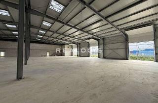 Büro zu mieten in 23795 Bad Segeberg, ca. 530 m² große Neubau Lager- und Produktionshalle mit Büro