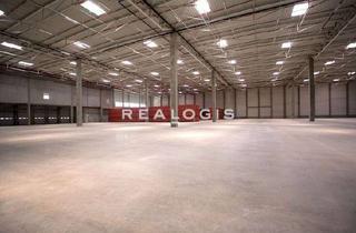 Gewerbeimmobilie mieten in 85072 Eichstätt, Kurzfristig verfügbar - ca. 6.500 m² flexibel nutzbare Hallenfläche zu vermieten