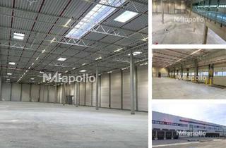 Gewerbeimmobilie mieten in 64823 Groß-Umstadt, ! Bis zu 40.000 m² Bestand ☆ teilbar ☆ top gepflegt ☆ ausreichend Rampentore ☆ jetzt anrufen !