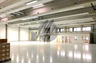 Büro zu mieten in 65719 Hofheim am Taunus, KEINE PROVISION ✓ TOP-LAGE ✓ RAMPE ✓ Moderne Lagerflächen (1.200 m²) & Büroflächen (650 m²)