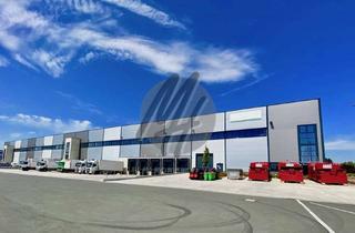 Büro zu mieten in 65479 Raunheim, NÄHE FLUGHAFEN ✓ 24/7 ✓ Lager-/Logistik (10.000 m²) & Büro-/Sozial (1.500 m²) zu vermieten